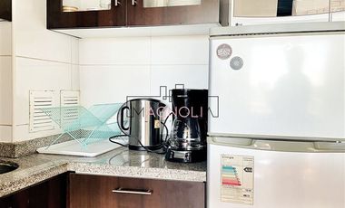 Departamento en Arriendo en SANTIAGO CENTRO AMOBLADO