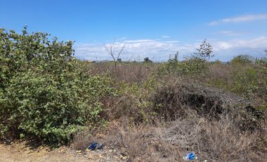 Terreno en  Venta en Palmar de Ayangue  SanS