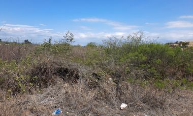 Terreno en  Venta en Palmar de Ayangue  SanS