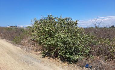 Terreno en  Venta en Palmar de Ayangue  SanS