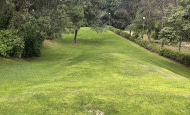 Bosque de los Virreyes un coto exclusivo