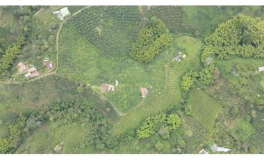 VENTA DE FINCA EN ALCAL, VALLE, COLOMBIA