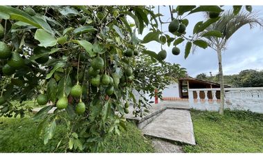 VENTA DE FINCA EN ALCAL, VALLE, COLOMBIA