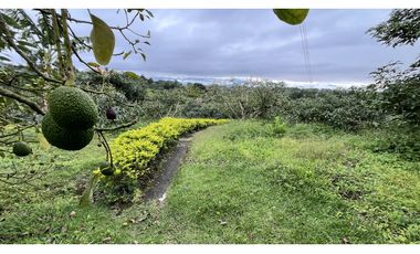 VENTA DE FINCA EN ALCAL, VALLE, COLOMBIA