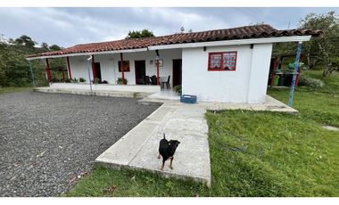 VENTA DE FINCA EN ALCAL, VALLE, COLOMBIA