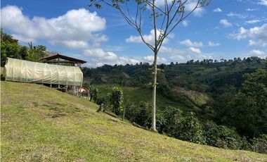 VENDO HERMOSA FINCA EN FILANDIA