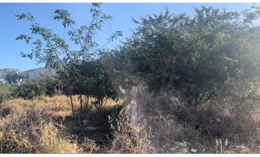 SE VENDE LOTE EN SECTOR LOS ARHUACOS, SANTA MARTA