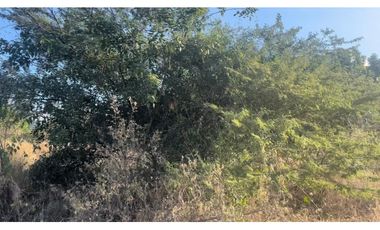 SE VENDE LOTE EN SECTOR LOS ARHUACOS, SANTA MARTA