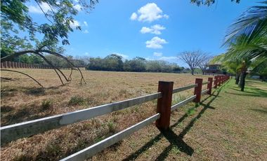Vendo Finca Penonome10 Hectareas