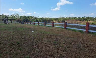 Vendo Finca Penonome10 Hectareas