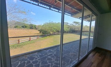 Vendo Finca Penonome10 Hectareas