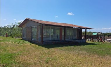 Vendo Finca Penonome10 Hectareas
