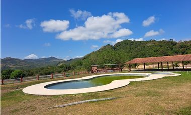 Vendo Finca Penonome10 Hectareas