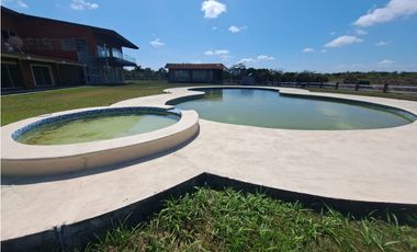 Vendo Finca Penonome10 Hectareas