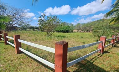 Vendo Finca Penonome10 Hectareas