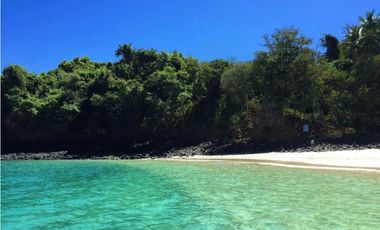 ISLA COMPLETA / GOLFO CHIRIQUI / 8 HECTAREAS + 4000m2 / NEGOCIABLE