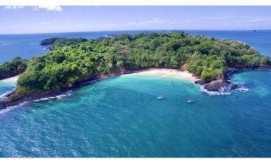 ISLA COMPLETA / GOLFO CHIRIQUI / 8 HECTAREAS + 4000m2 / NEGOCIABLE