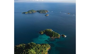 ISLA COMPLETA / GOLFO CHIRIQUI / 8 HECTAREAS + 4000m2 / NEGOCIABLE