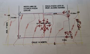 CHIRIQUI / ALTO BOQUETE /  1800m2 / CON FRENTE A VIA