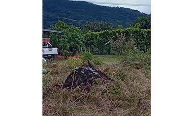 CHIRIQUI / ALTO BOQUETE /  1800m2 / CON FRENTE A VIA