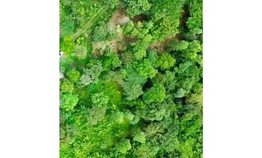 Terreno venta en Coclé, Penonome