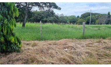 VENTA DE TERRENO BUENA UBICACIÓN SANTA MARA VIA LA PINTADA PENONOMÉ