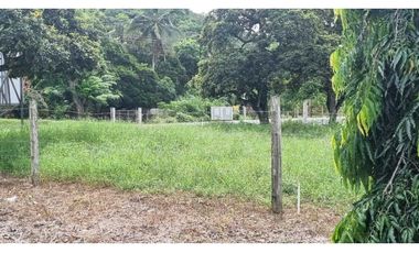 VENTA DE TERRENO BUENA UBICACIÓN SANTA MARA VIA LA PINTADA PENONOMÉ