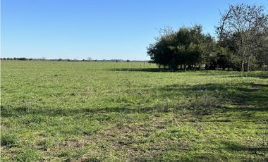 Campo en venta en Ranchos. 89 Has. mixtas