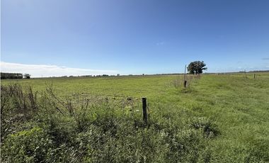 Campo en venta en Ranchos. 89 Has. mixtas