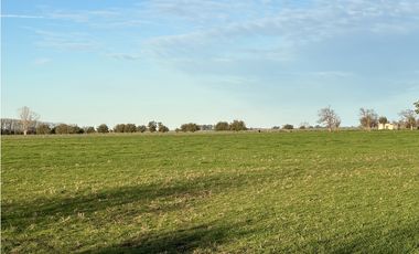 Campo en venta en Ranchos. 89 Has. mixtas