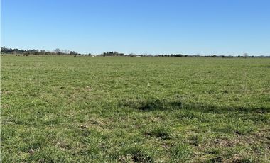 Campo en venta en Ranchos. 89 Has. mixtas