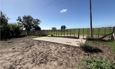 Campo en venta en Ranchos. 89 Has. mixtas