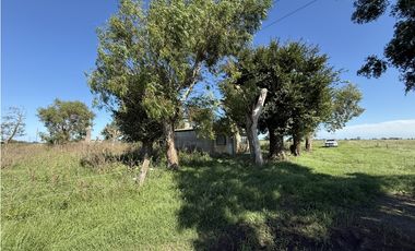 Campo en venta en Ranchos. 89 Has. mixtas