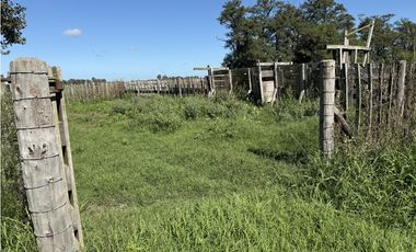 Campo en venta en Ranchos. 89 Has. mixtas