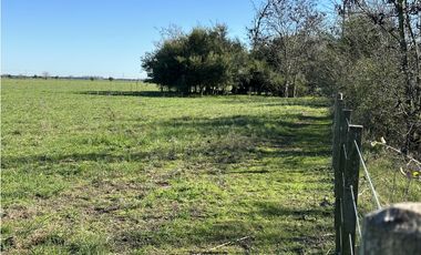 Campo en venta en Ranchos. 89 Has. mixtas