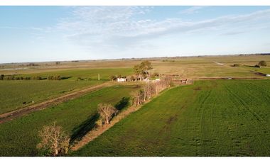 Campo en venta en Ranchos. 89 Has. mixtas
