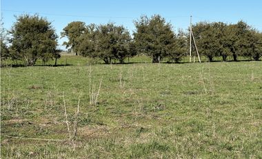 Campo en venta en Ranchos. 89 Has. mixtas
