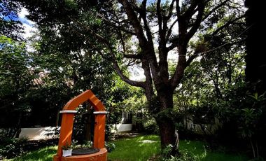 Casa en CENTRO HISTORICO SAN CRISTOBAL DE LAS CASAS CASA CON LOCAL EN VENTA O RENTA