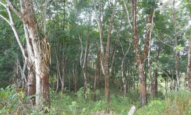 Venta de Terreno Rustico Río Manso
