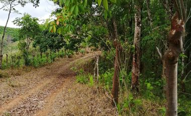 Venta de Terreno Rustico Río Manso