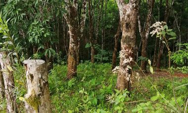 Venta de Terreno Rustico Río Manso