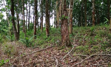Venta de Terreno Rustico Río Manso