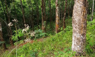 Venta de Terreno Rustico Río Manso