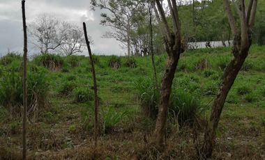 Venta de Terreno Rustico Río Manso