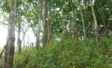 Venta de Terreno Rustico Río Manso