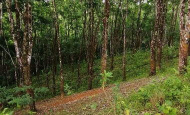 Venta de Terreno Rustico Río Manso