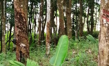 Venta de Terreno Rustico Río Manso