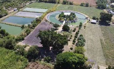 Venta de Terreno en Tepalcingo