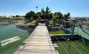 Venta de Terreno en Tepalcingo