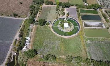 Venta de Terreno en Tepalcingo